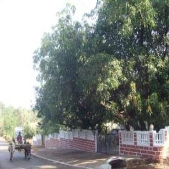 Enjoy Amidst Dense Greenery In Resort, Ratnagiri 5